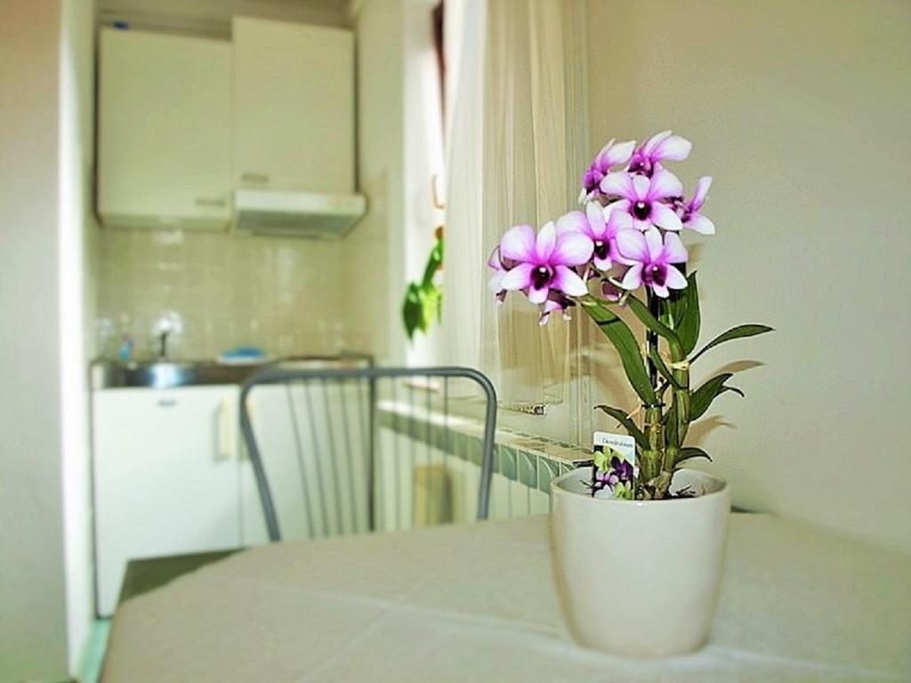 Apartment Koric Ičići Zewnętrze zdjęcie